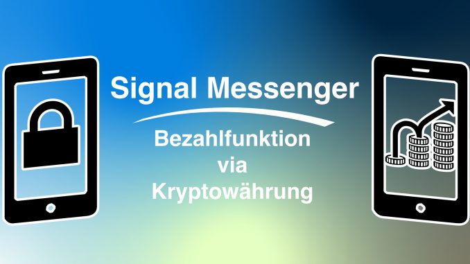 signal messenger kritik