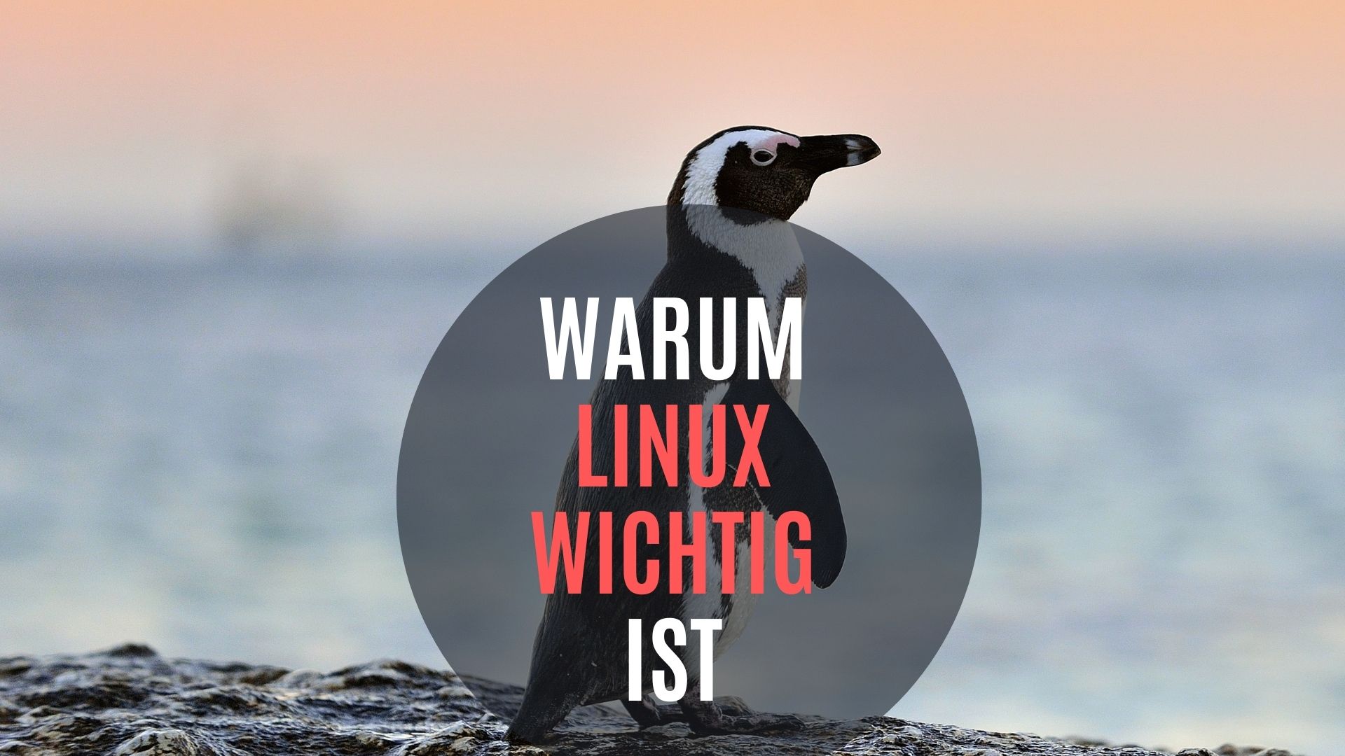 Ist Linux wirklich kostenlos?